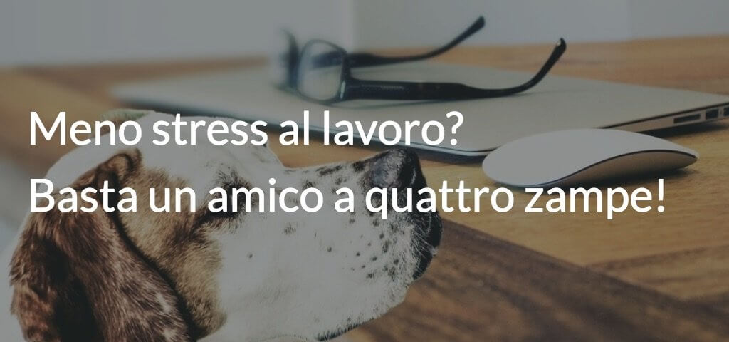 Meno stress al lavoro? Basta un amico a quattro zampe!