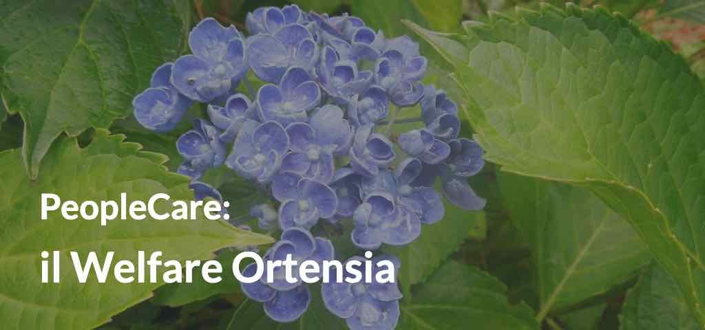 peoplecare welfare ortensia
