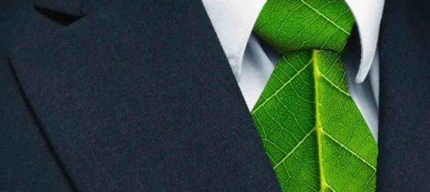 Il Green HR tra business sostenibile e motivazione dei collaboratori