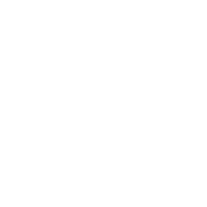 LOGO RISORSEUMANE-HR.IT white