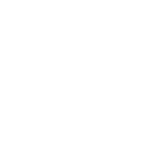 LOGO RISORSEUMANE-HR.IT white